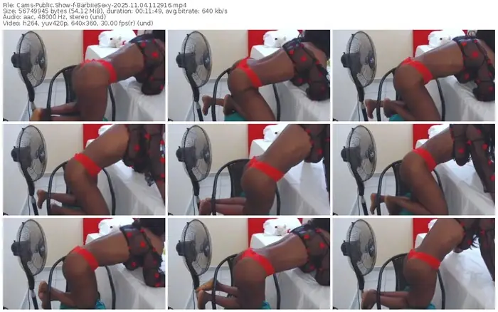 2025/11/04/cams-barbiiesexy-11-29-16