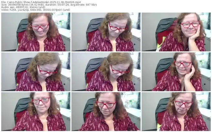 2025/11/06/cams-adeleemodel-09-40-26