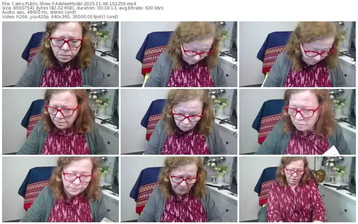 2025/11/06/cams-adeleemodel-10-22-59