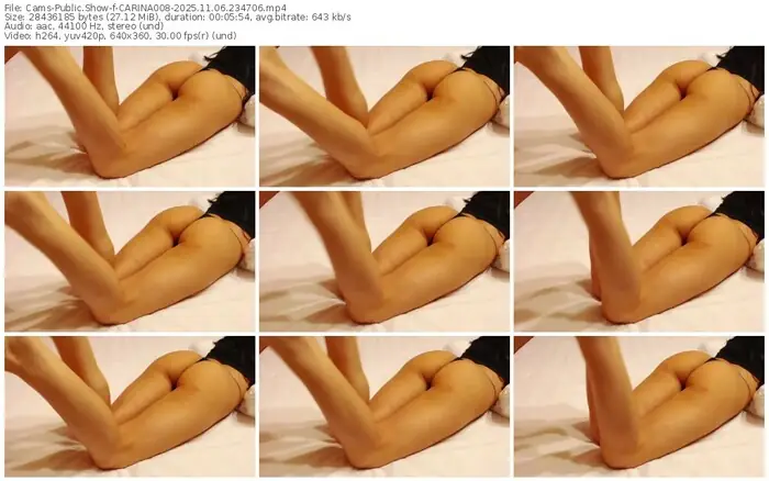 2025/11/06/cams-carina008-23-47-06