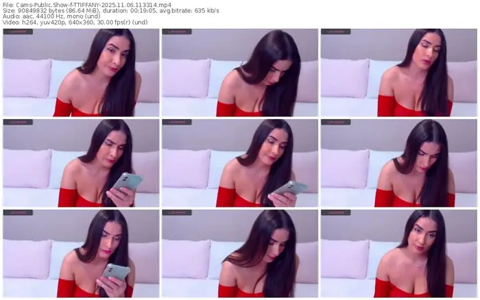 2025/11/06/cams-ttiffany-11-33-14