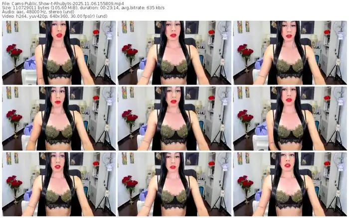 2025/11/06/cams-rhubyts-15-58-09