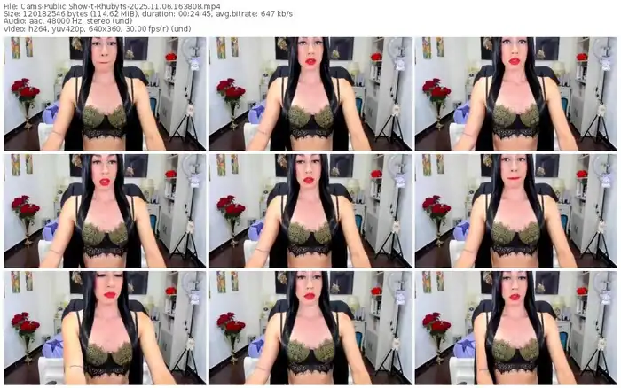 2025/11/06/cams-rhubyts-16-38-08