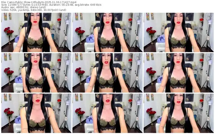 2025/11/06/cams-rhubyts-17-14-27