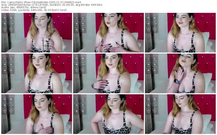 2025/11/07/cams-erykaender-06-48-15