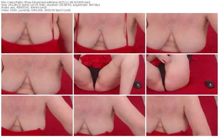 2025/11/08/cams-experiencedalana-01-54-39