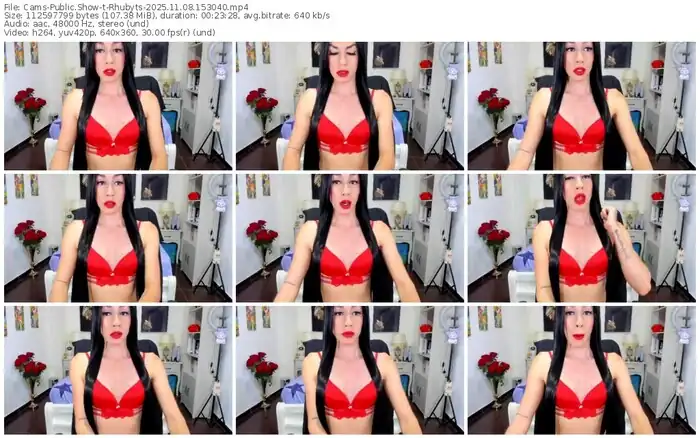 2025/11/08/cams-rhubyts-15-30-40