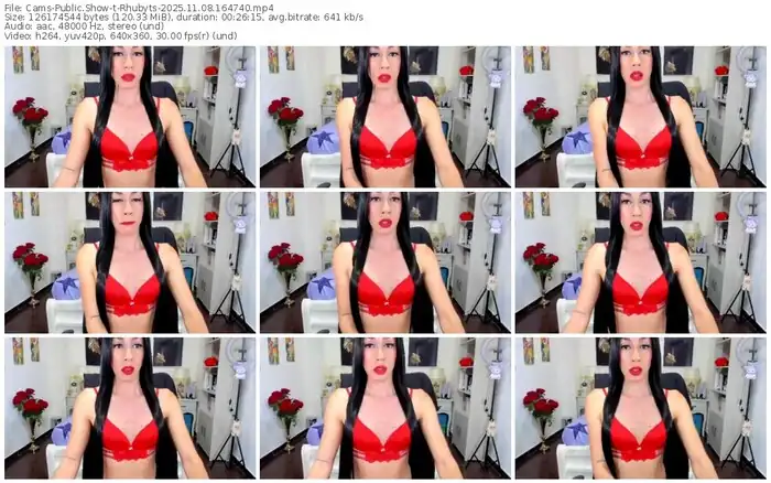 2025/11/08/cams-rhubyts-16-47-40