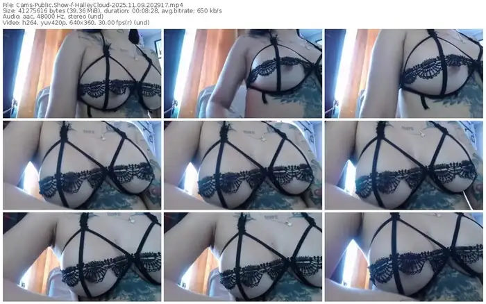 2025/11/09/cams-halleycloud-20-29-17