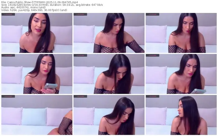 2025/11/09/cams-ttiffany-09-47-45