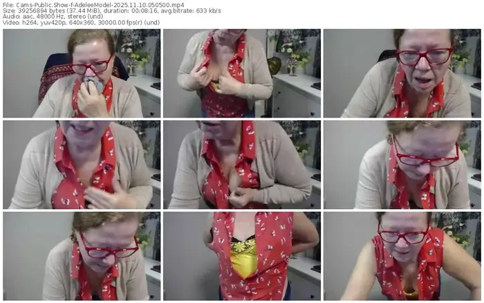 2025/11/10/cams-adeleemodel-05-05-00