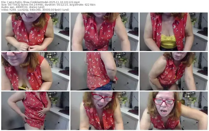 2025/11/10/cams-adeleemodel-10-11-22