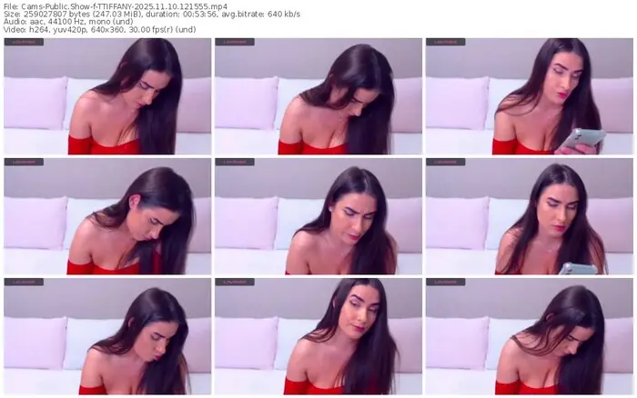 2025/11/10/cams-ttiffany-12-15-55