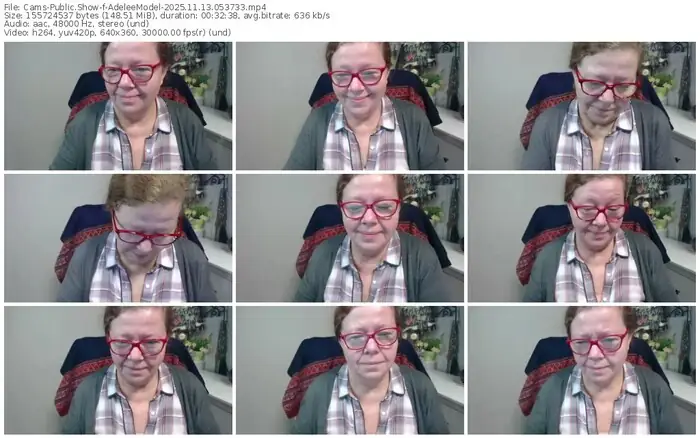 2025/11/13/cams-adeleemodel-05-37-33