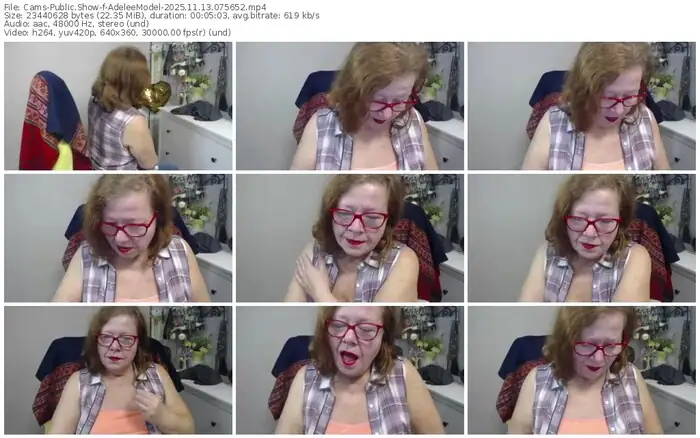 2025/11/13/cams-adeleemodel-07-56-52