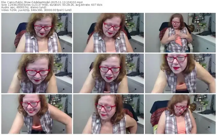 2025/11/13/cams-adeleemodel-10-41-02