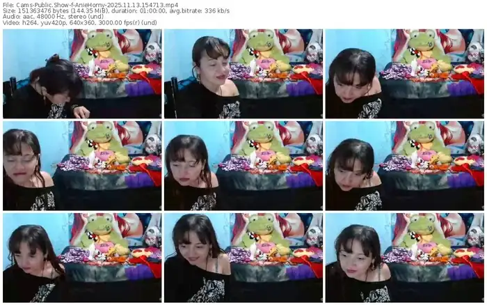 2025/11/13/cams-aniehorny-15-47-13