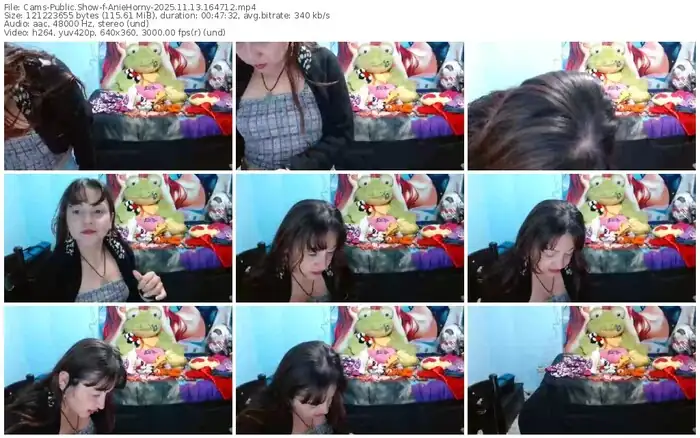 2025/11/13/cams-aniehorny-16-47-12