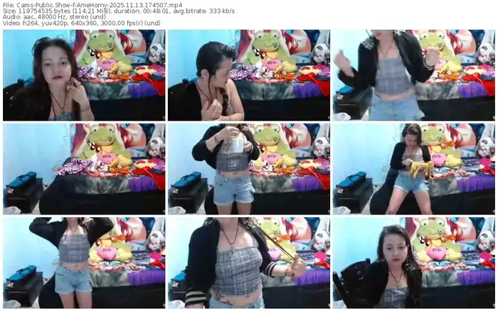 2025/11/13/cams-aniehorny-17-45-07