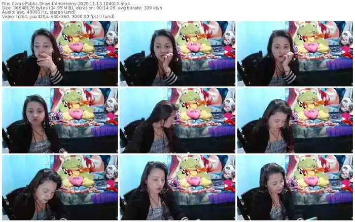 2025/11/13/cams-aniehorny-18-40-10