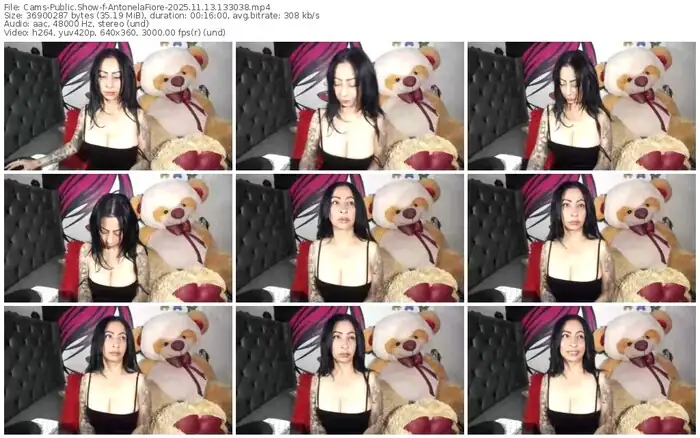 2025/11/13/cams-antonelafiore-13-30-38