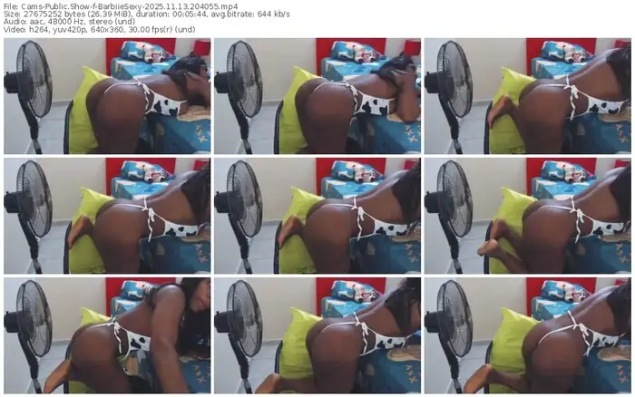 2025/11/13/cams-barbiiesexy-20-40-55