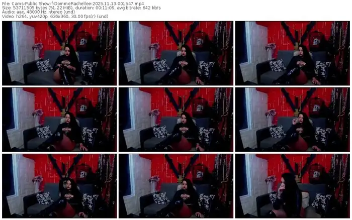 2025/11/13/cams-dommerachellee-00-15-47