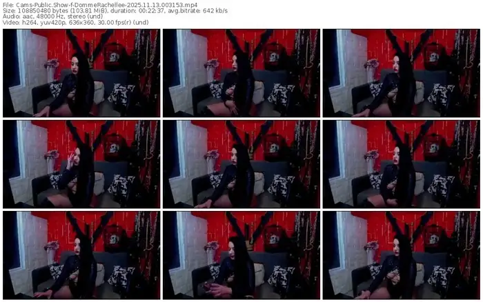 2025/11/13/cams-dommerachellee-00-31-53