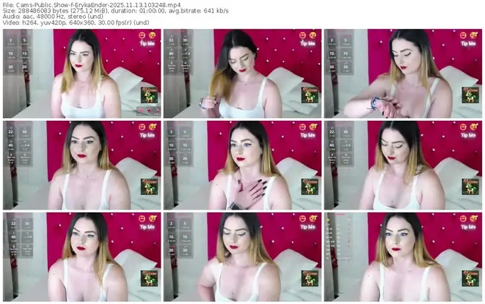 2025/11/13/cams-erykaender-10-32-48