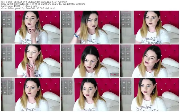 2025/11/14/cams-erykaender-10-47-29