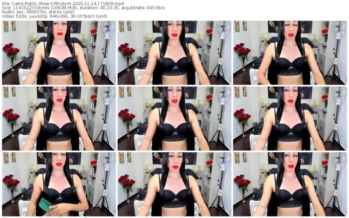 2025/11/14/cams-rhubyts-17-18-09