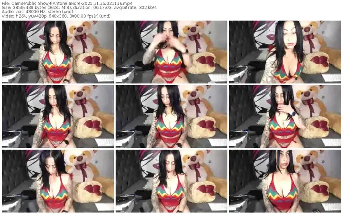 2025/11/15/cams-antonelafiore-02-11-16