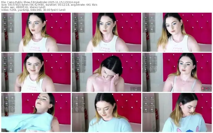 2025/11/15/cams-erykaender-12-33-14