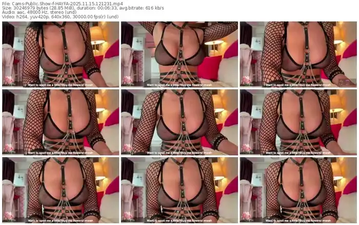 2025/11/15/cams-hayfa-12-12-31