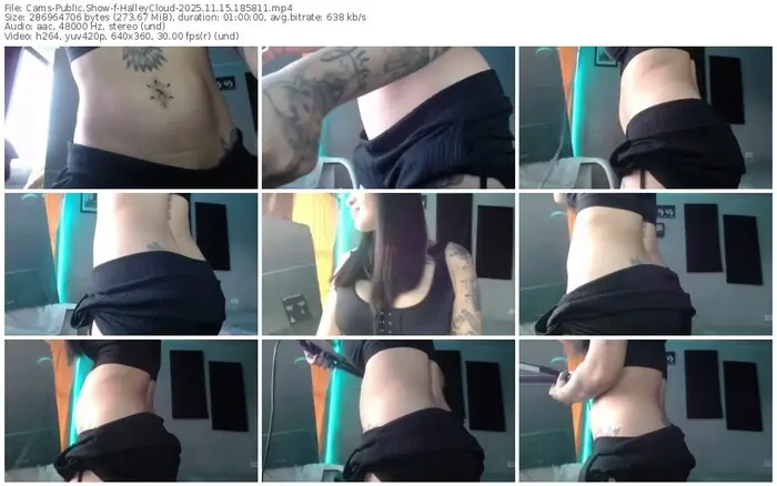 2025/11/15/cams-halleycloud-18-58-11