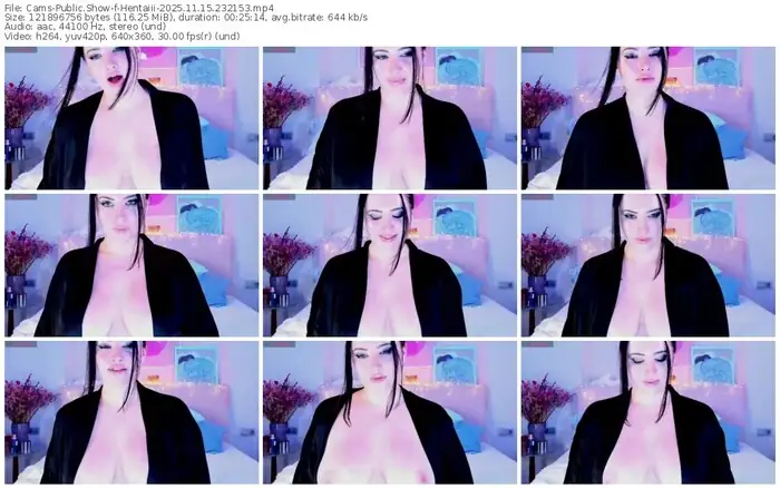 2025/11/15/cams-hentaiii-23-21-53