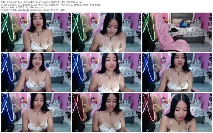 2025/11/15/cams-sofiiadreams-00-27-57