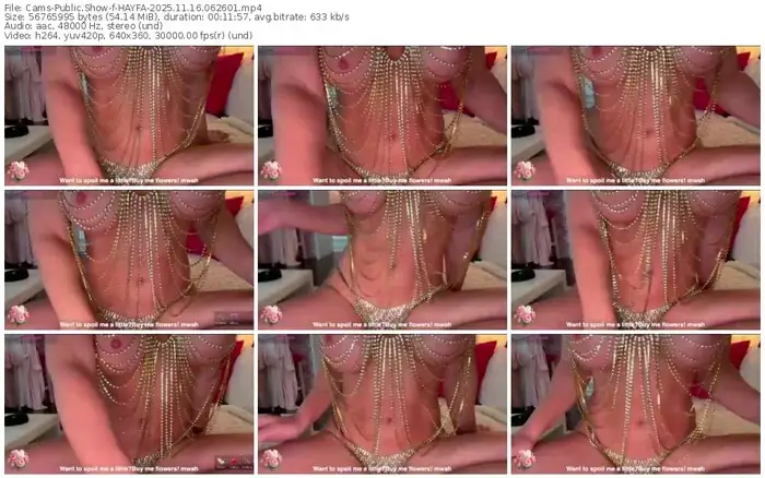 2025/11/16/cams-hayfa-06-26-01