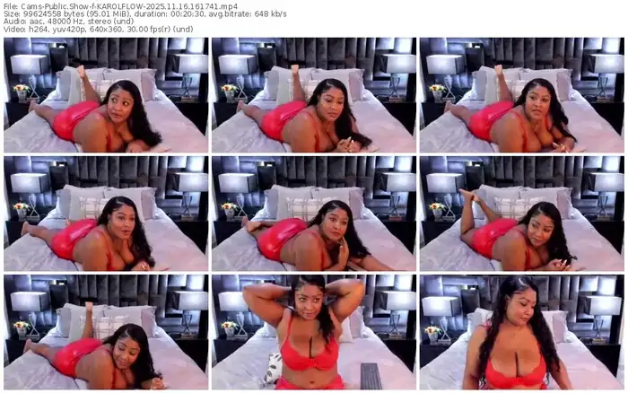 2025/11/16/cams-karolflow-16-17-41