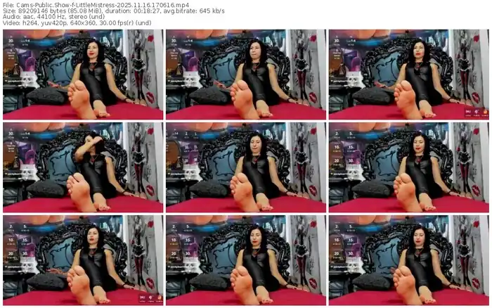 2025/11/16/cams-littlemistress-17-06-16