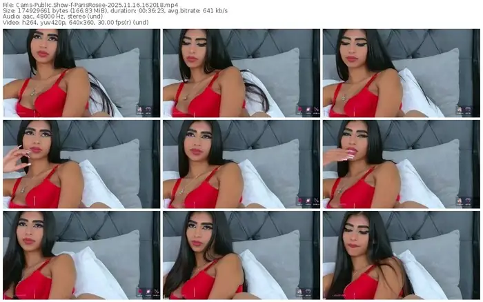 2025/11/16/cams-parisrosee-16-20-18