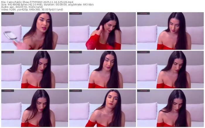 2025/11/16/cams-ttiffany-12-51-26