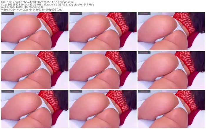 2025/11/16/cams-ttiffany-18-05-45