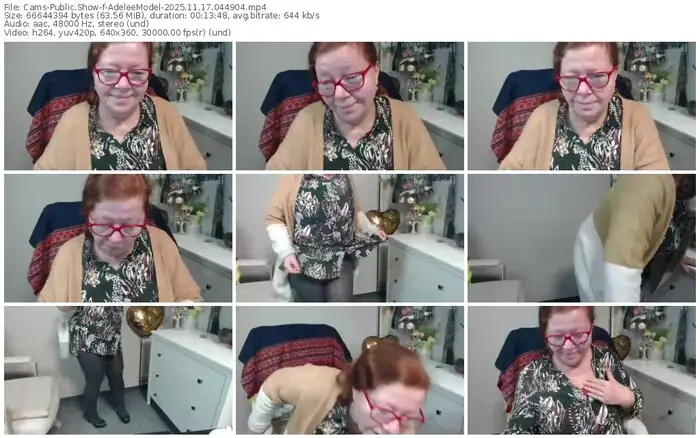 2025/11/17/cams-adeleemodel-04-49-04