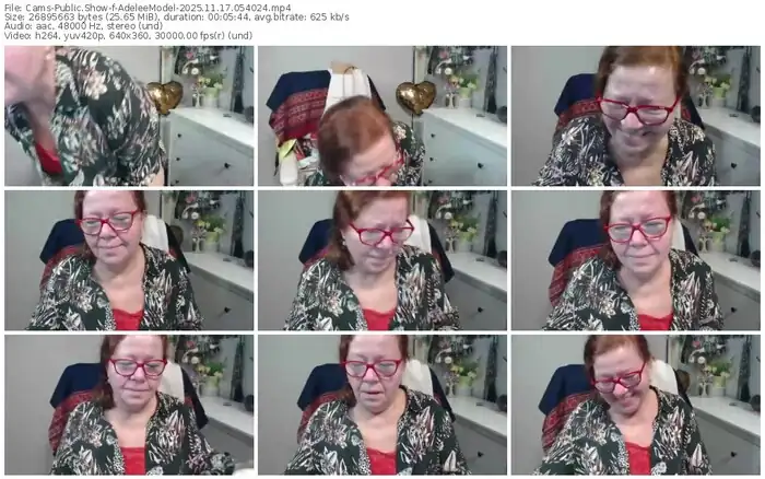 2025/11/17/cams-adeleemodel-05-40-24