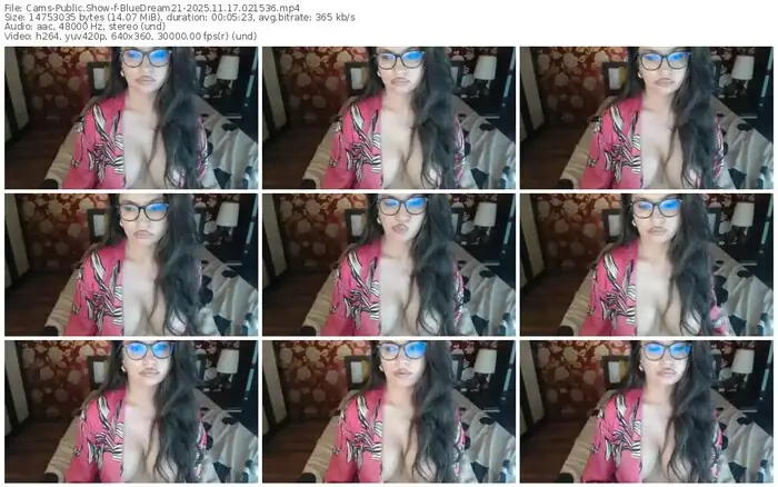 2025/11/17/cams-bluedream21-02-15-36