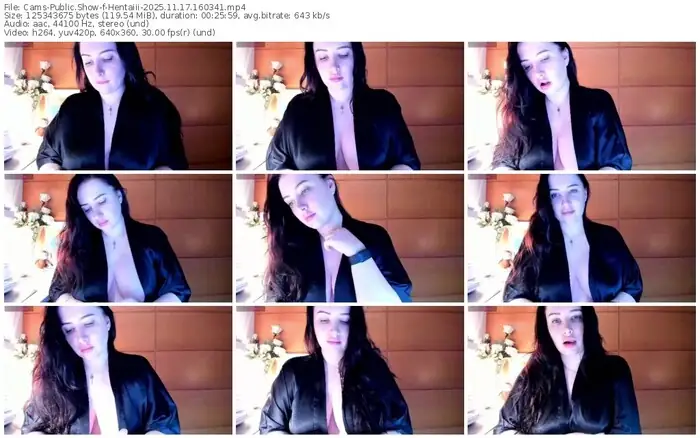 2025/11/17/cams-hentaiii-16-03-41