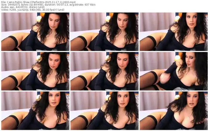 2025/11/17/cams-perfectits-11-26-00