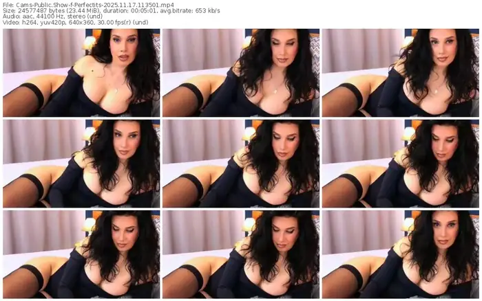 2025/11/17/cams-perfectits-11-35-01