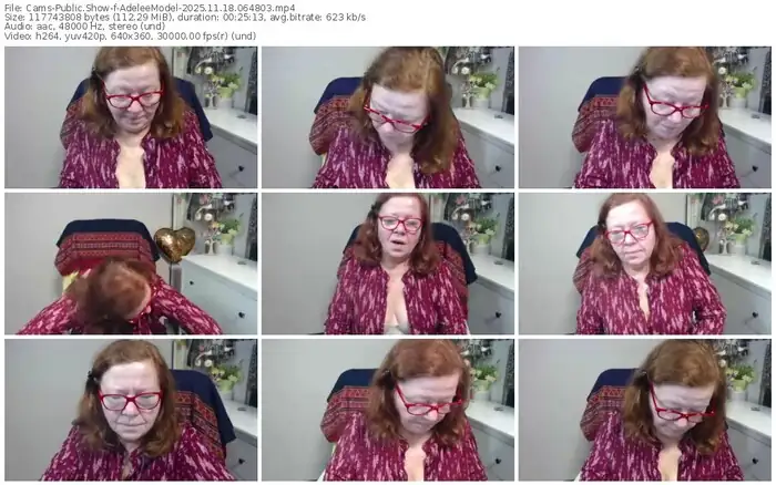 2025/11/18/cams-adeleemodel-06-48-03